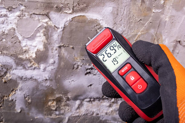 Best Professional Mold Removal  in Urbana, IA