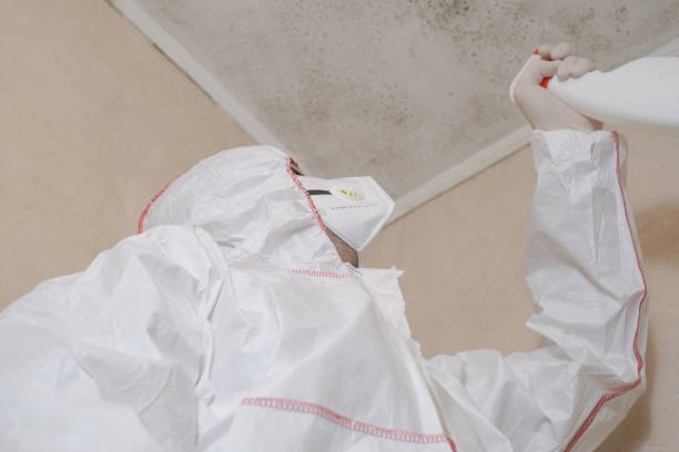 Certified Mold Removal in Urbana, IA